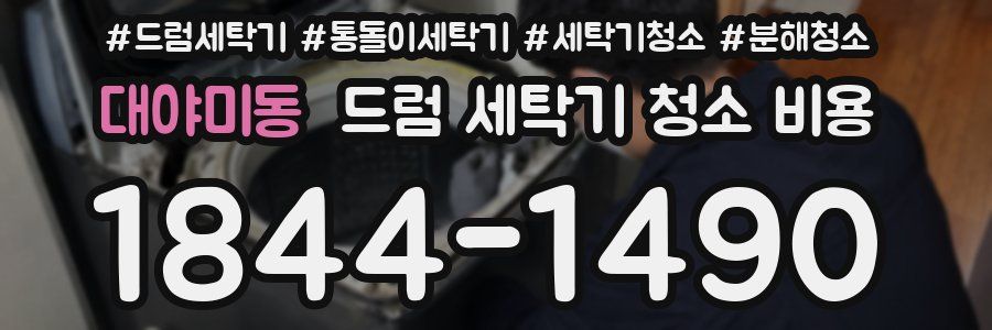 대야미동 드럼 세탁기 청소 비용