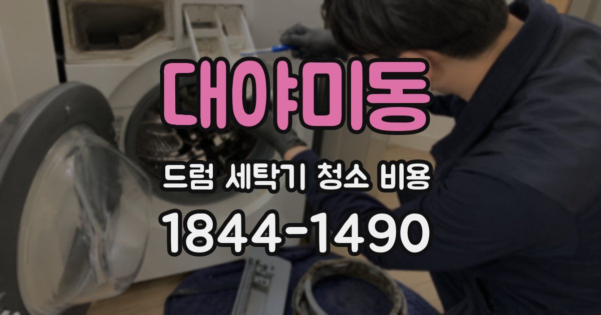 대야미동 드럼 세탁기 청소 비용