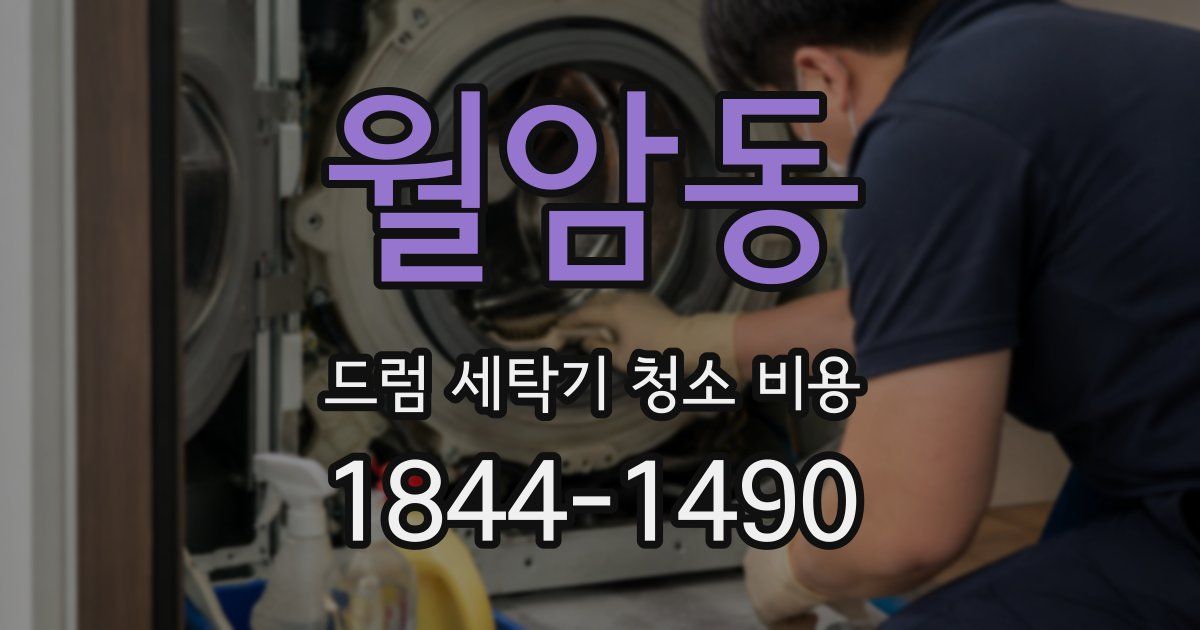 월암동 드럼 세탁기 청소 비용