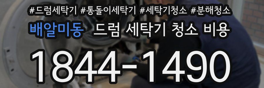 배알미동 드럼 세탁기 청소 비용