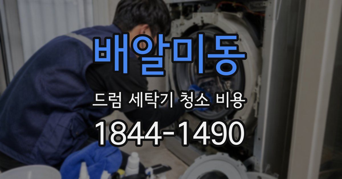 배알미동 드럼 세탁기 청소 비용
