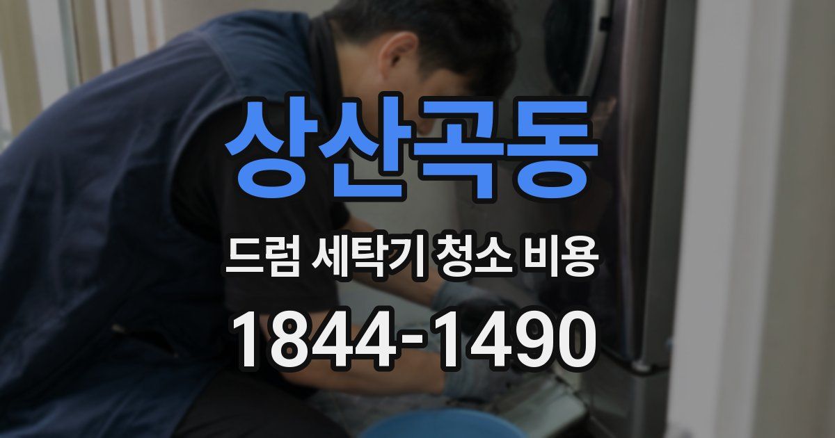상산곡동 드럼 세탁기 청소 비용