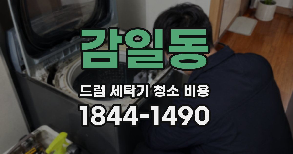 감일동 드럼 세탁기 청소 비용