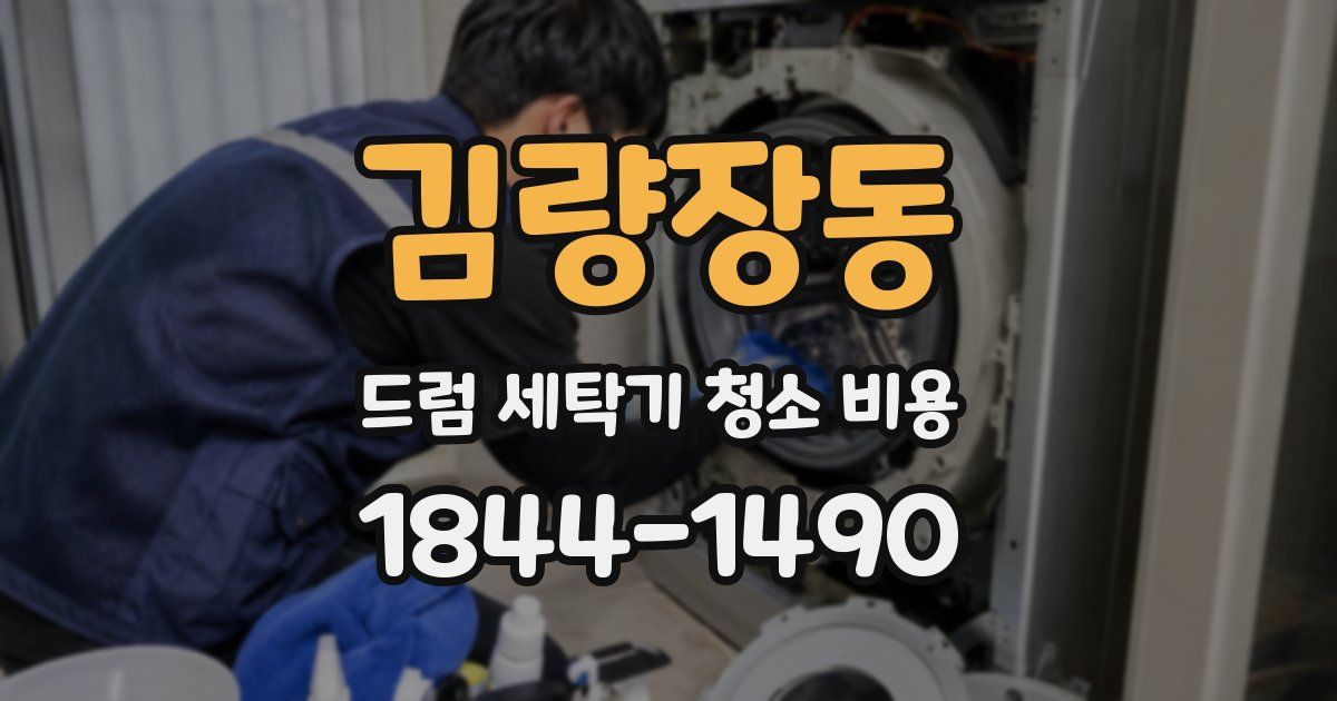 김량장동 드럼 세탁기 청소 비용