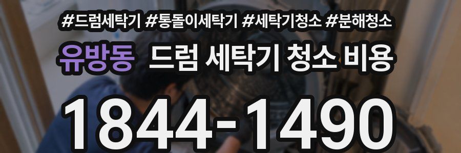 유방동 드럼 세탁기 청소 비용