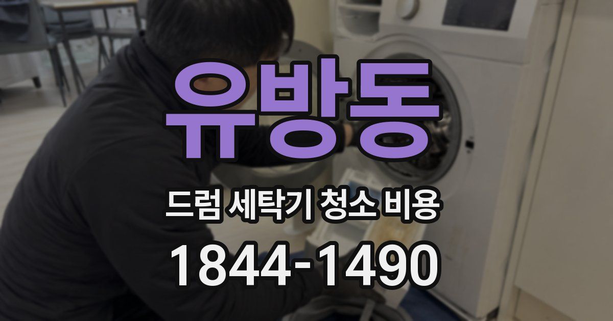 유방동 드럼 세탁기 청소 비용