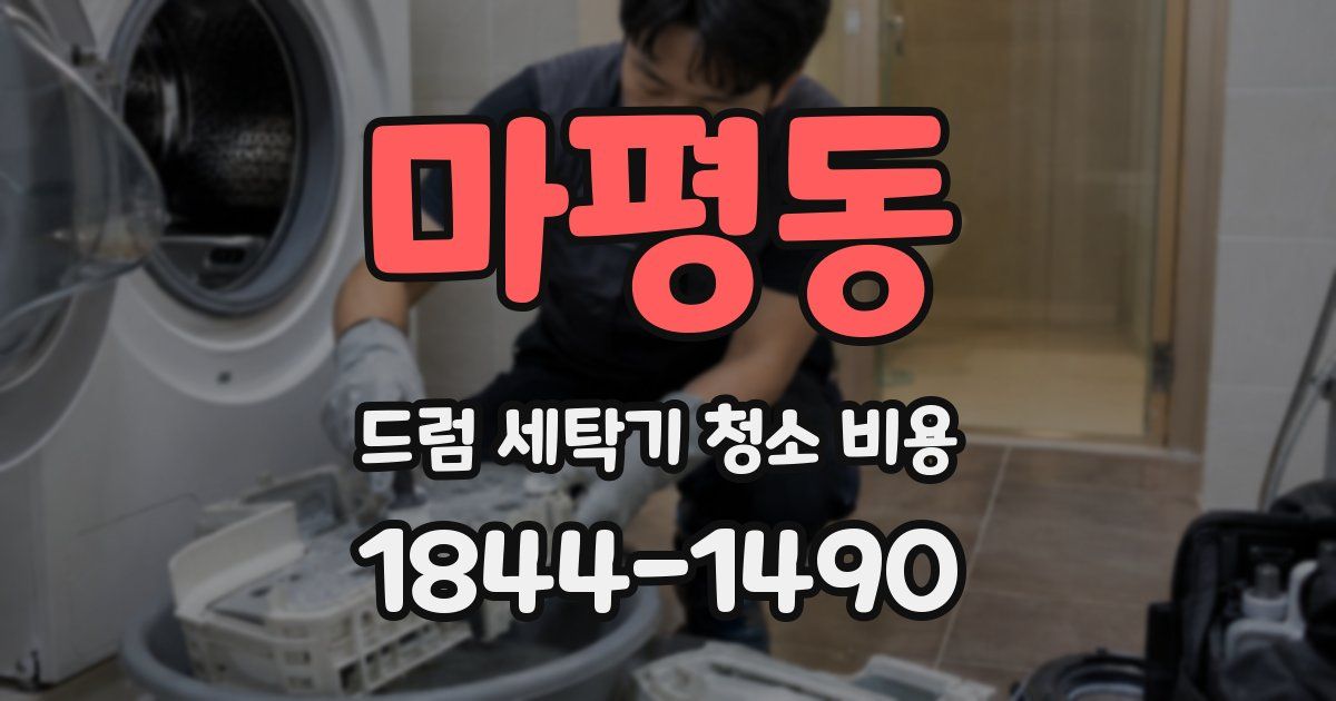 마평동 드럼 세탁기 청소 비용