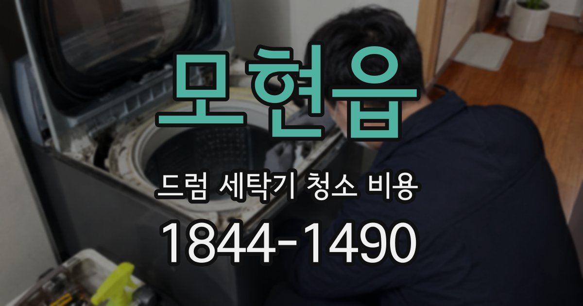 모현읍 드럼 세탁기 청소 비용