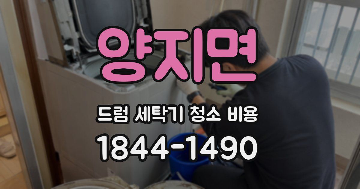 양지면 드럼 세탁기 청소 비용