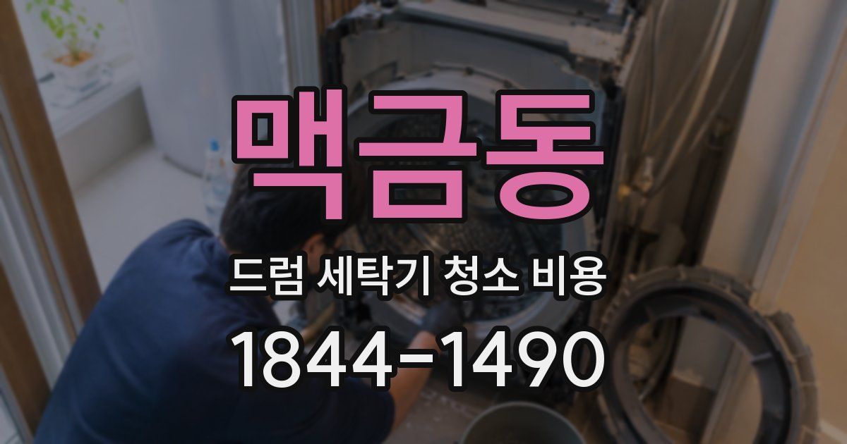 맥금동 드럼 세탁기 청소 비용