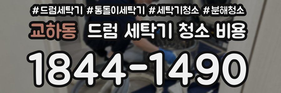 교하동 드럼 세탁기 청소 비용
