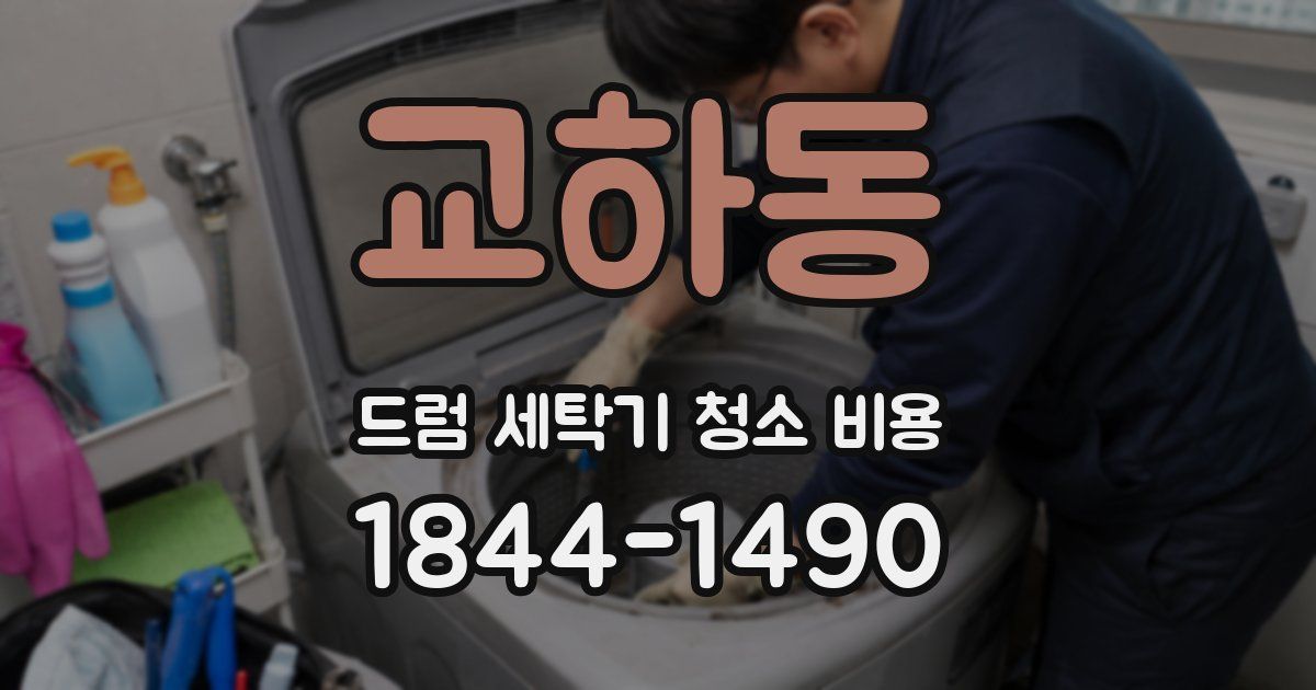 교하동 드럼 세탁기 청소 비용