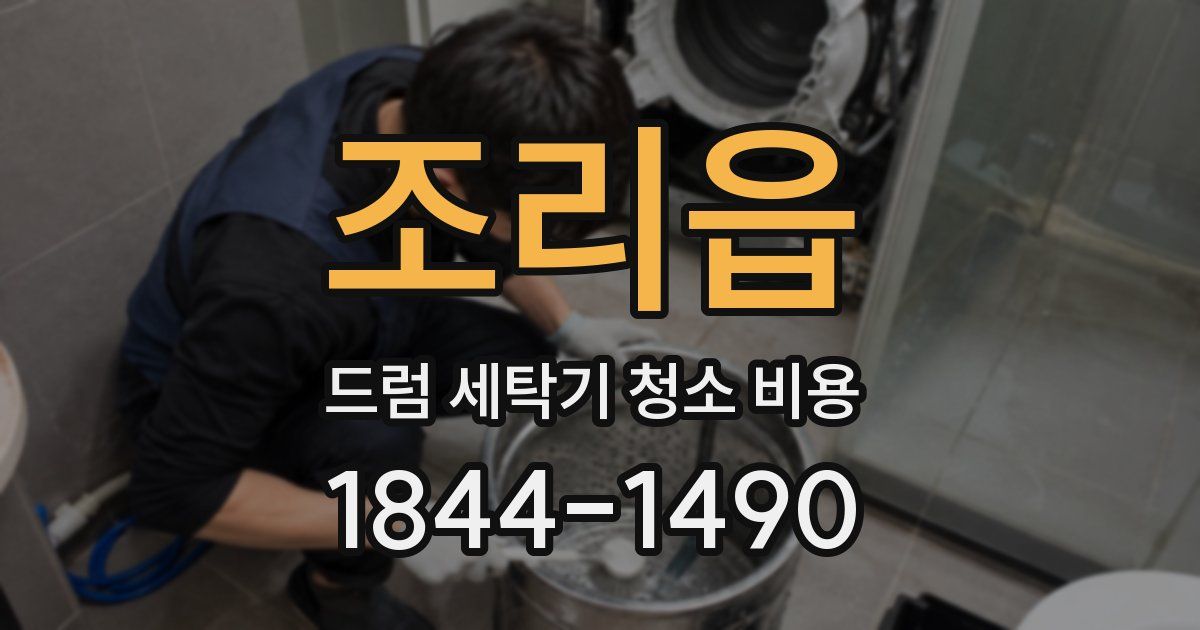 조리읍 드럼 세탁기 청소 비용