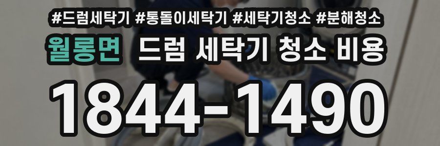 월롱면 드럼 세탁기 청소 비용