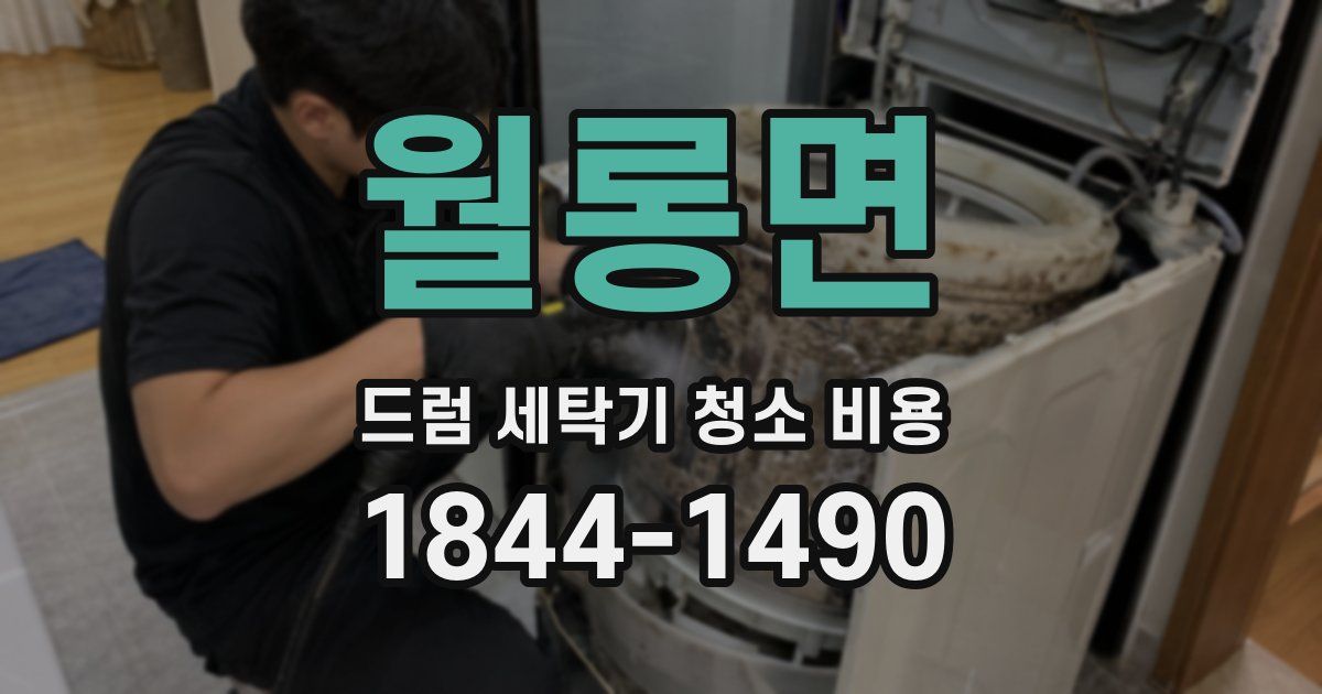 월롱면 드럼 세탁기 청소 비용