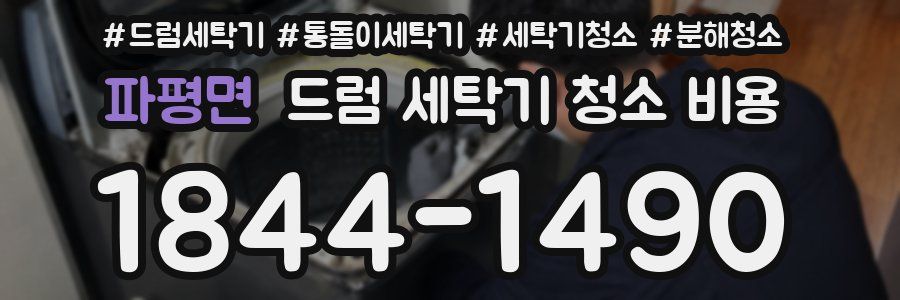 파평면 드럼 세탁기 청소 비용