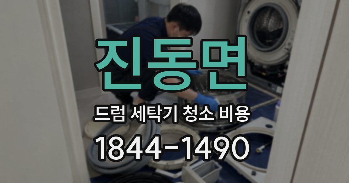진동면 드럼 세탁기 청소 비용