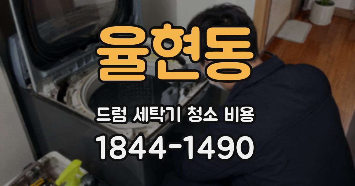 율현동 드럼 세탁기 청소 비용