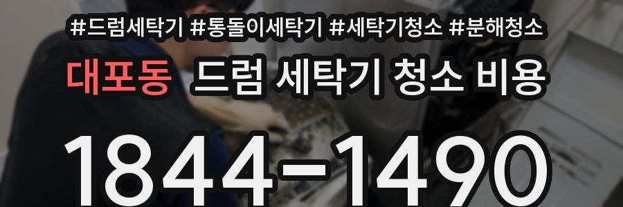대포동 드럼 세탁기 청소 비용