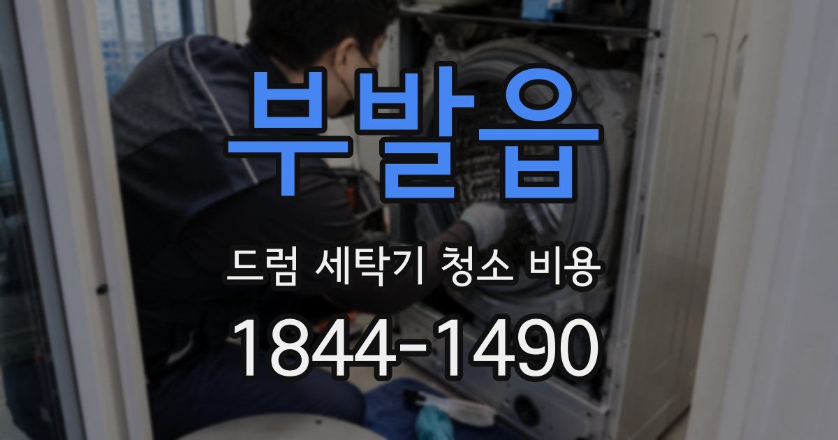 부발읍 드럼 세탁기 청소 비용