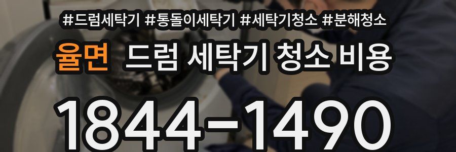 율면 드럼 세탁기 청소 비용