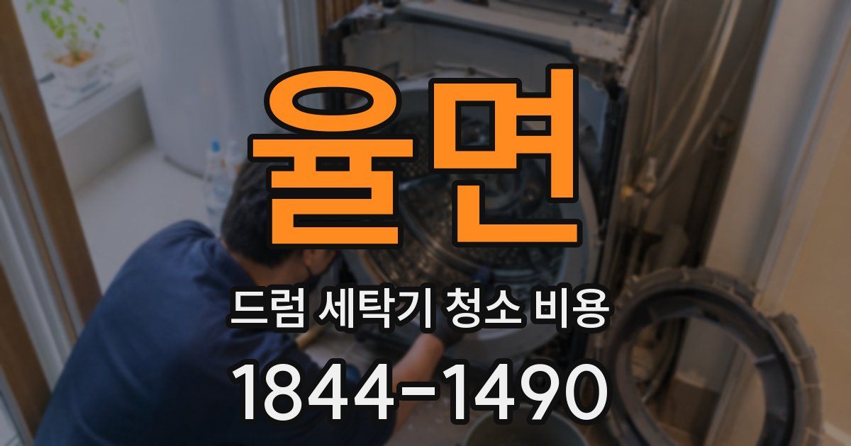 율면 드럼 세탁기 청소 비용