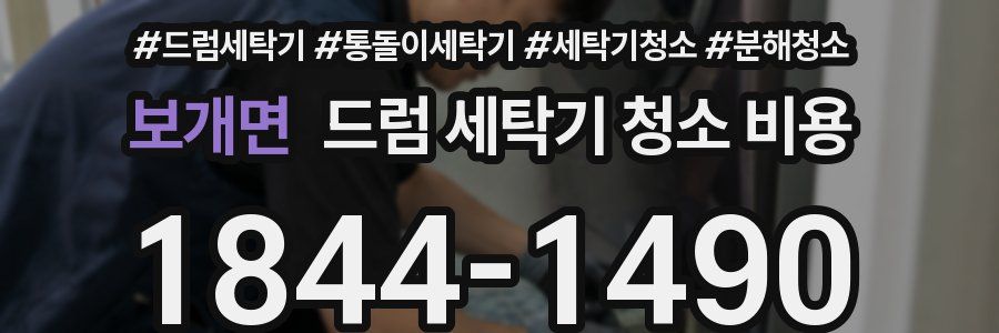 보개면 드럼 세탁기 청소 비용