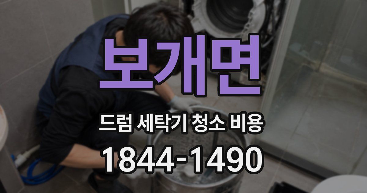 보개면 드럼 세탁기 청소 비용