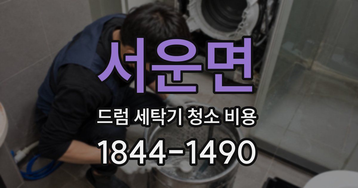 서운면 드럼 세탁기 청소 비용