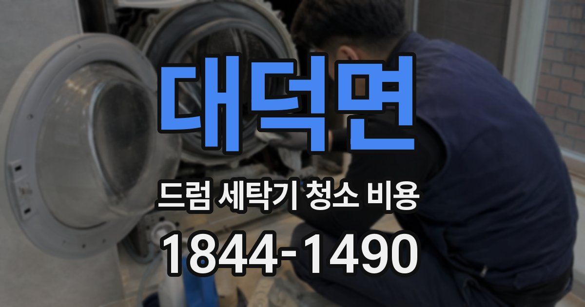 대덕면 드럼 세탁기 청소 비용