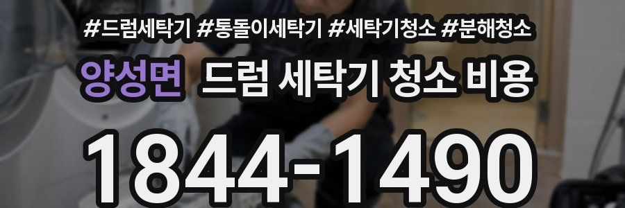 양성면 드럼 세탁기 청소 비용