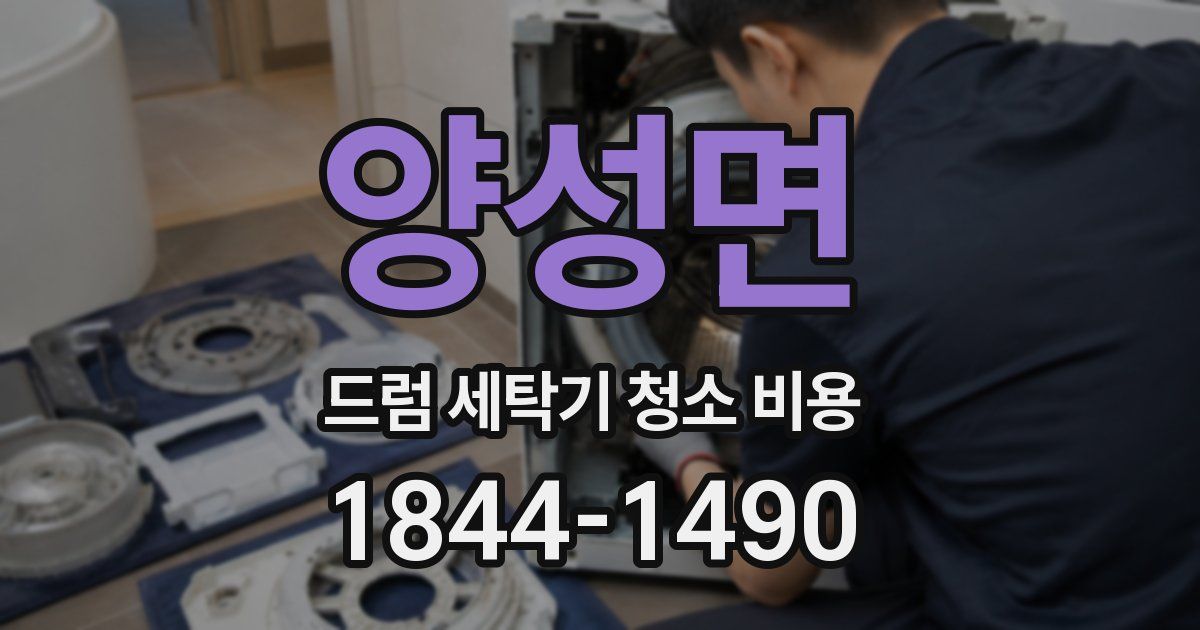 양성면 드럼 세탁기 청소 비용