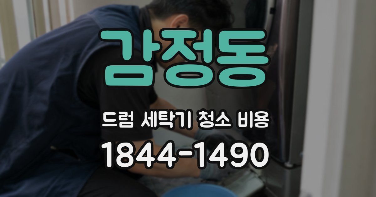 감정동 드럼 세탁기 청소 비용