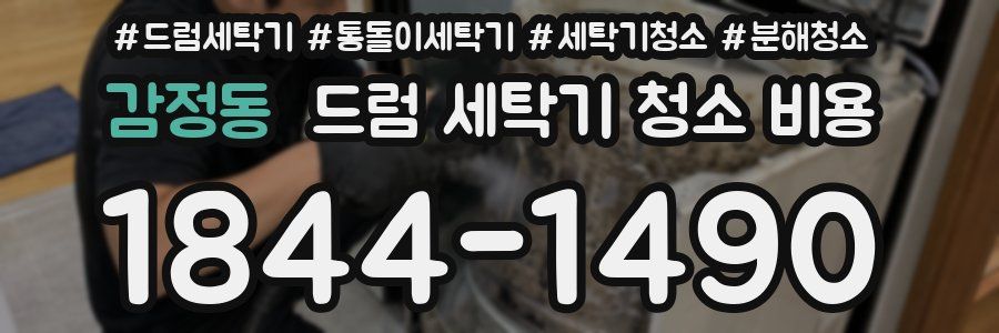 감정동 드럼 세탁기 청소 비용