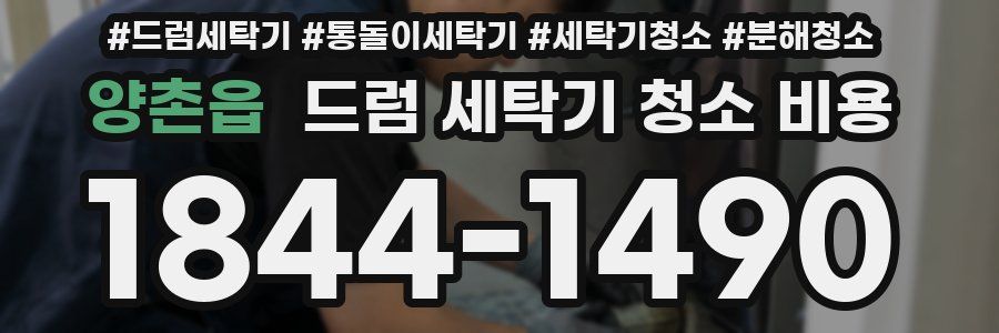 양촌읍 드럼 세탁기 청소 비용