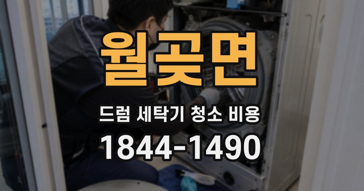 월곶면 드럼 세탁기 청소 비용