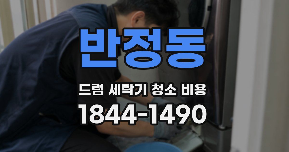 반정동 드럼 세탁기 청소 비용