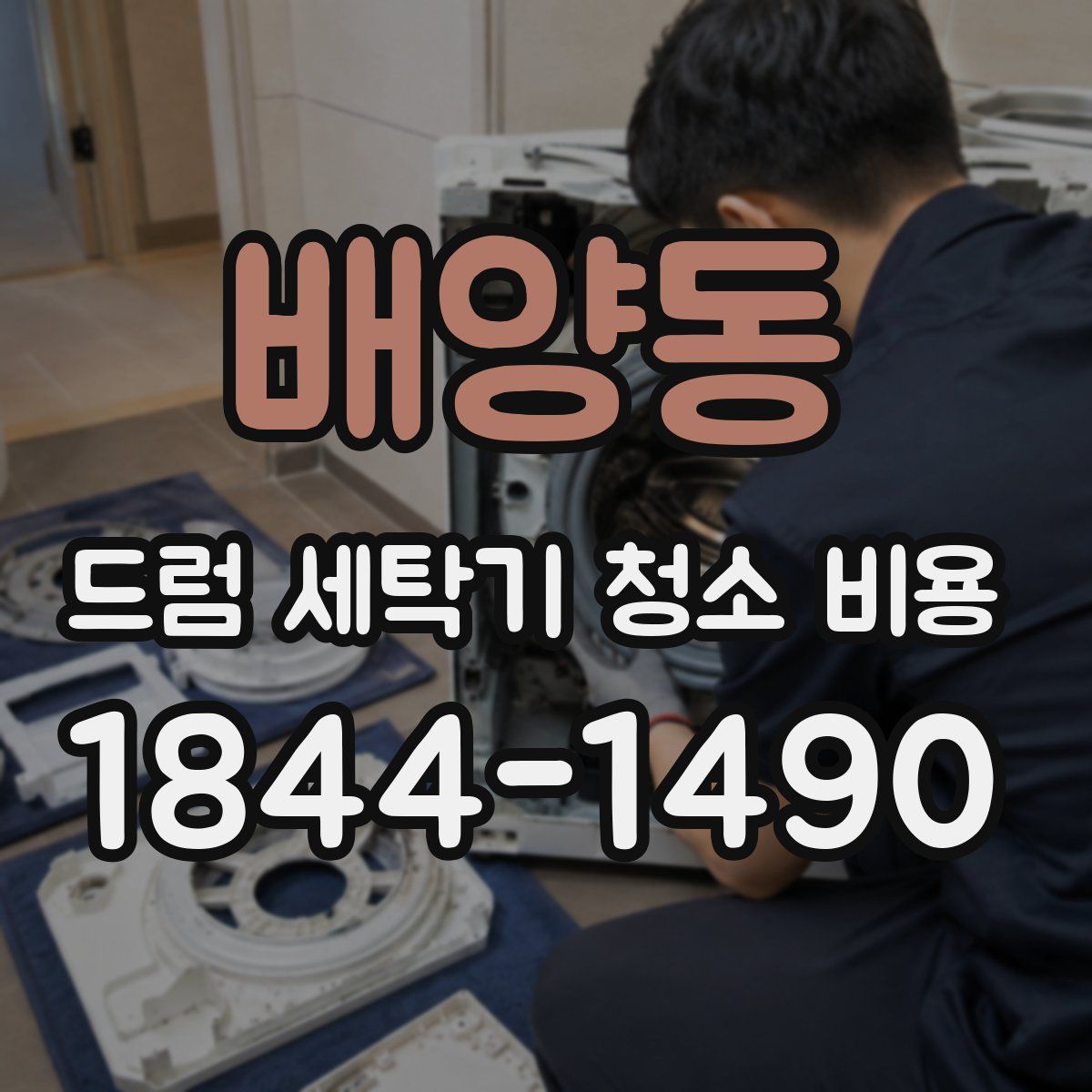 배양동 드럼 세탁기 청소 비용