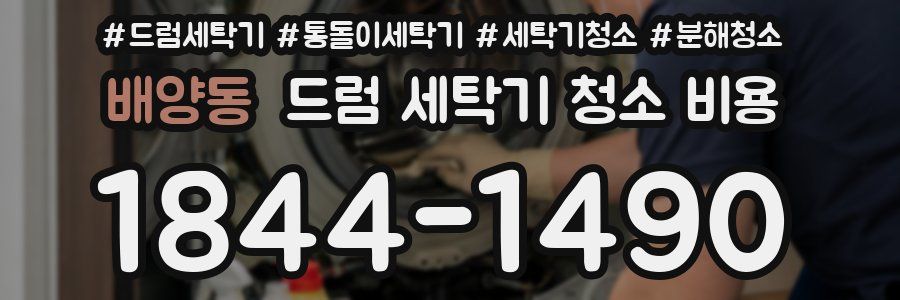 배양동 드럼 세탁기 청소 비용