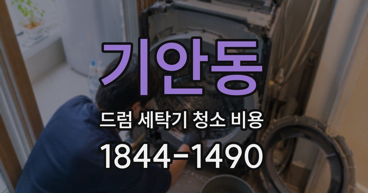 기안동 드럼 세탁기 청소 비용