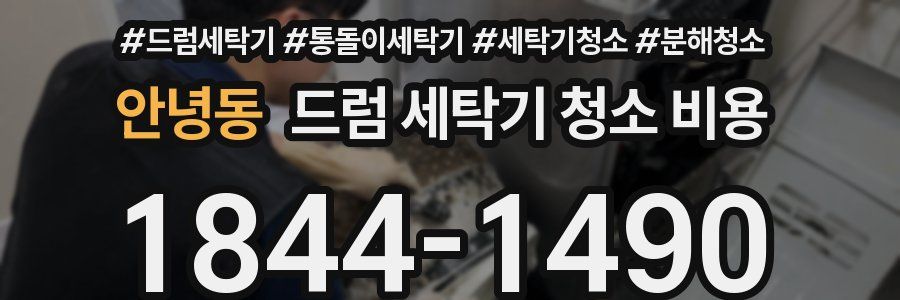 안녕동 드럼 세탁기 청소 비용