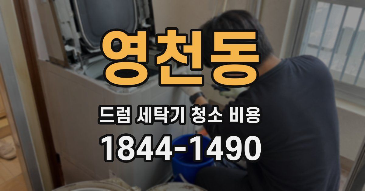 영천동 드럼 세탁기 청소 비용