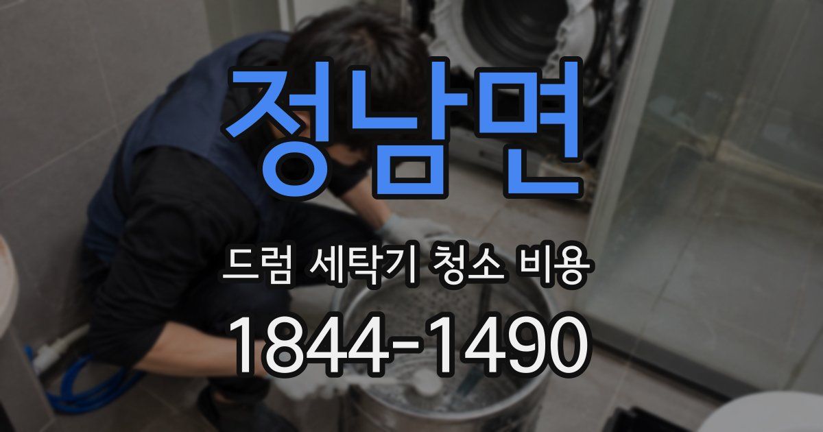 정남면 드럼 세탁기 청소 비용