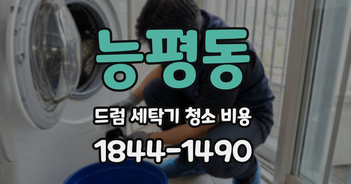 능평동 드럼 세탁기 청소 비용