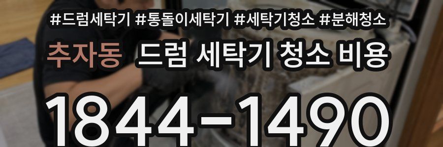 추자동 드럼 세탁기 청소 비용