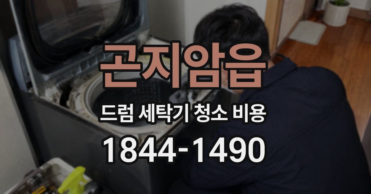곤지암읍 드럼 세탁기 청소 비용