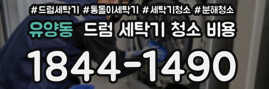 유양동 드럼 세탁기 청소 비용