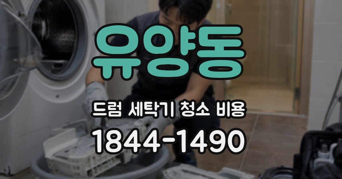 유양동 드럼 세탁기 청소 비용