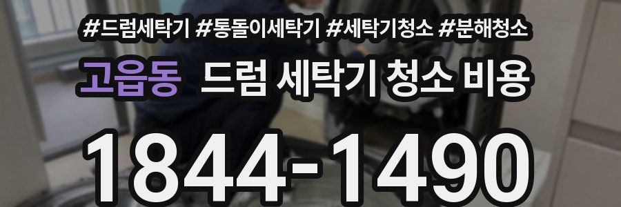 고읍동 드럼 세탁기 청소 비용