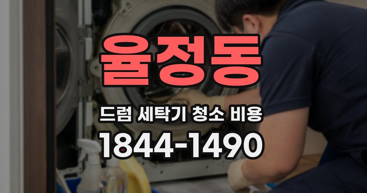 율정동 드럼 세탁기 청소 비용